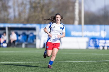 Bild 135 - F Hamburger SV 3 - Blau-Weiss 96 : Ergebnis: 5:1